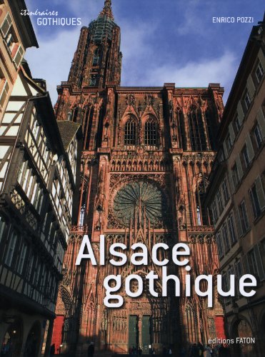 9782878441420: Alsace gothique