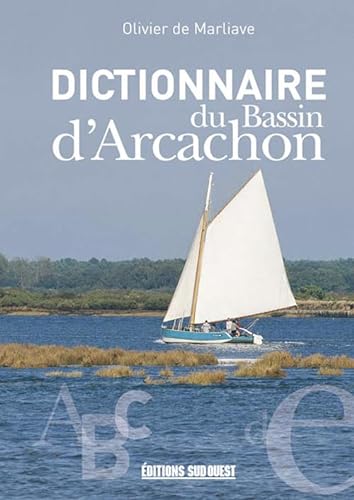 Stock image for Dictionnaire Du Bassin D'Arcachon for sale by Ammareal