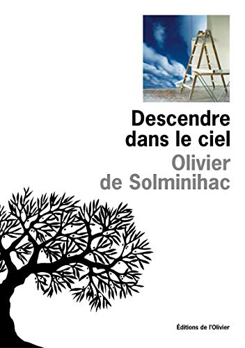 Stock image for Descendre dans le ciel for sale by Ammareal