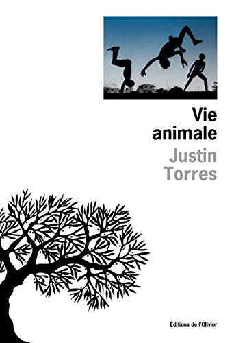 Beispielbild fr Vie animale zum Verkauf von Ammareal