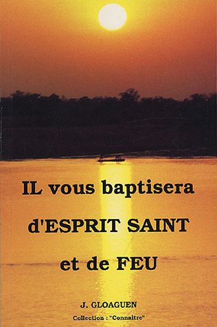 Imagen de archivo de Il vous baptisera d'Esprit Saint et de feu a la venta por Chapitre.com : livres et presse ancienne