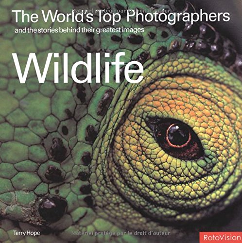 Imagen de archivo de The Worlds Top Photographers and the Stories Behind Their Greatest Images: Wildlife a la venta por Half Price Books Inc.