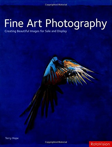 Beispielbild fr Fine Art Photography: Creating Beautiful Images for Sale and Display zum Verkauf von HPB Inc.