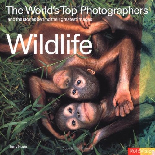 Imagen de archivo de Wildlife: The World's Top Photographers and the stories behind their greatest images a la venta por Wonder Book