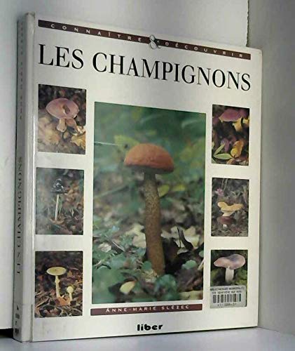 Connaitre et découvrir les champignons