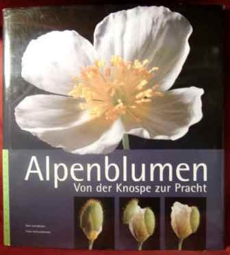 Beispielbild fr Alpenblumen: Von der Knospe zur Pracht zum Verkauf von Pia Vonarburg