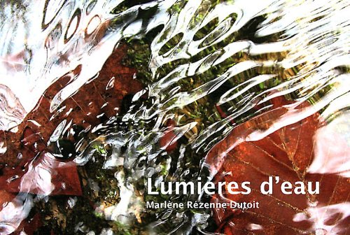 Beispielbild fr Lumires d'eau zum Verkauf von Ammareal