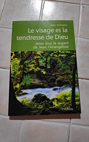 Beispielbild fr Le Visage Et La Tendresse De Dieu : Jsus Sous Le Regard De Jean L'vangliste zum Verkauf von RECYCLIVRE