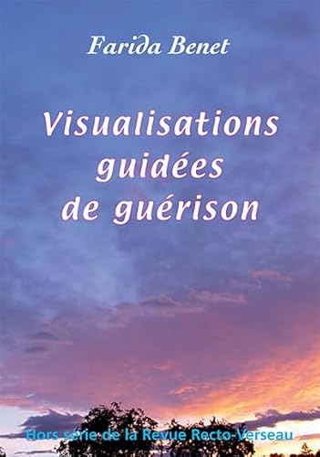 Beispielbild fr Visualisations guides de gurison zum Verkauf von Ammareal