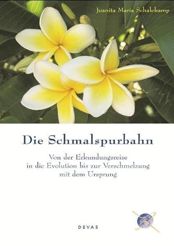 Imagen de archivo de Die Schmalspurbahn a la venta por medimops