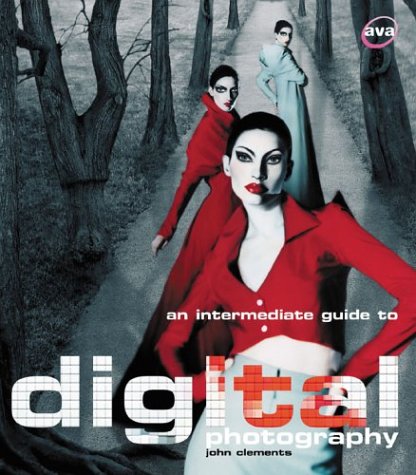 Stock image for An Intermediate Guide to Digital Photography (Digital Photography S.) for sale by WorldofBooks