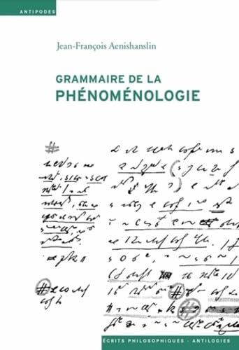 Beispielbild fr Grammaire de la phnomnologie zum Verkauf von suspiratio - online bcherstube