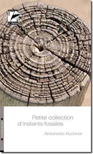 Petite collection d'instants-fossiles