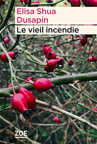 Stock image for Le vieil incendie for sale by Ammareal