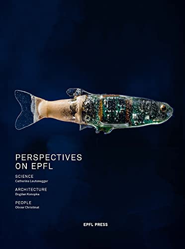 Beispielbild fr Perspective on EPFL zum Verkauf von Blackwell's