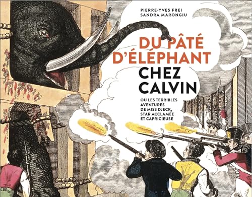 Beispielbild fr Du pt d'lphant chez Calvin: Ou les terribles aventures de Miss Djeck, star acclame et capricieuse zum Verkauf von Gallix