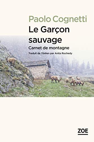Stock image for Le garon sauvage : Carnet de montagne for sale by Ammareal