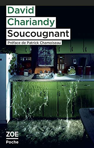 Stock image for Soucougnant for sale by Ammareal
