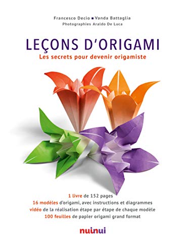 9782889355112: Leons d'origami: Les secrets pour devenir origamiste