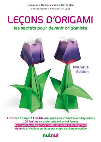 9782889356546: Leons d'origami: Les secrets pour devenir origamiste