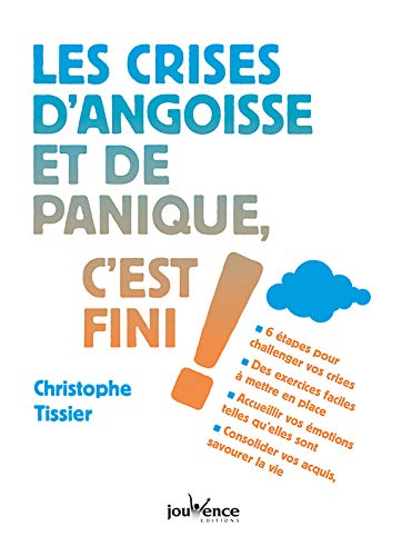 Stock image for Les crises d'angoisse et de panique, c'est fini ! for sale by medimops