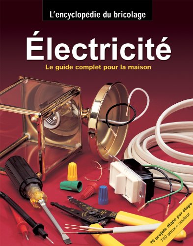 Imagen de archivo de Electricit a la venta por GF Books, Inc.