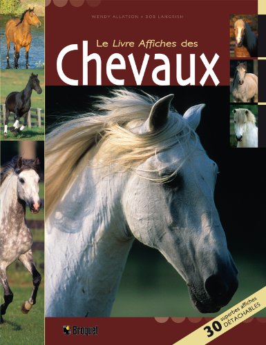 Stock image for Le Livre Affiches des Chevaux : 30 superbes affiches dtachables for sale by medimops