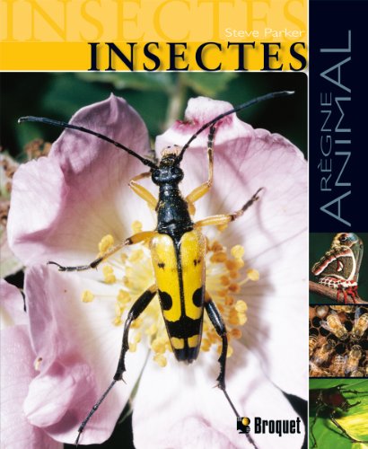 9782890008458: Insectes