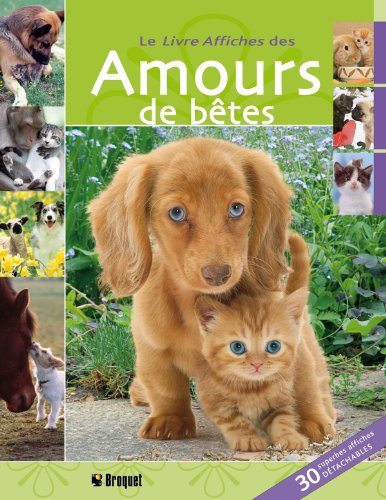 Beispielbild fr Le livre affiches des Amours de btes zum Verkauf von Ammareal