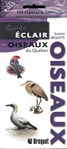 Stock image for GUIDE ECLAIR OISEAUX DU QUEBEC for sale by ThriftBooks-Atlanta