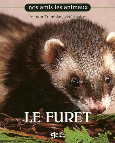 Stock image for Furet for sale by Better World Books