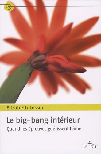 Beispielbild fr Le big-bang intrieur : Quand les preuves gurissent l'me zum Verkauf von medimops