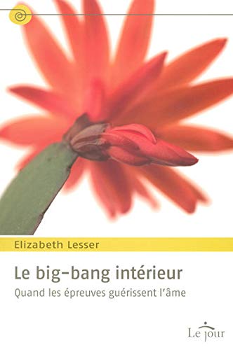 Stock image for Le big-bang intrieur : Quand les preuves gurissent l'me for sale by medimops