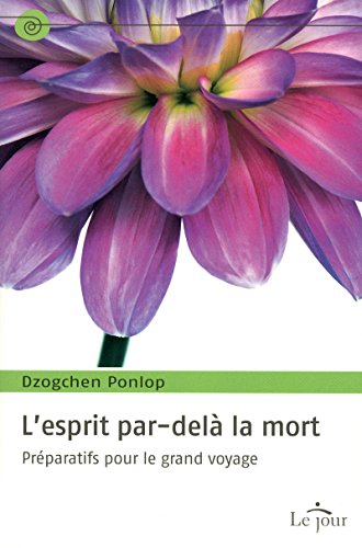 9782890447622: L'esprit par-del la mort: Prparatifs pour le grand voyage