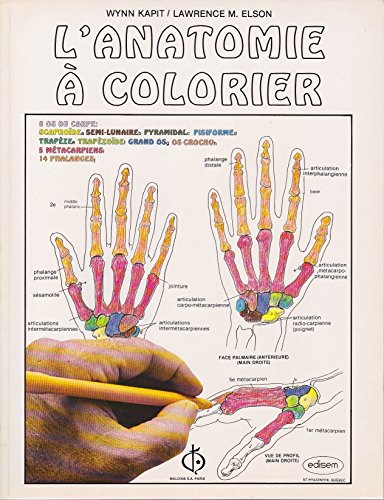 Stock image for L'anatomie  colorier for sale by Better World Books