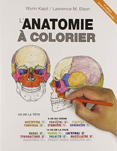 Stock image for L'anatomie  Colorier (French Edition) for sale by GF Books, Inc.