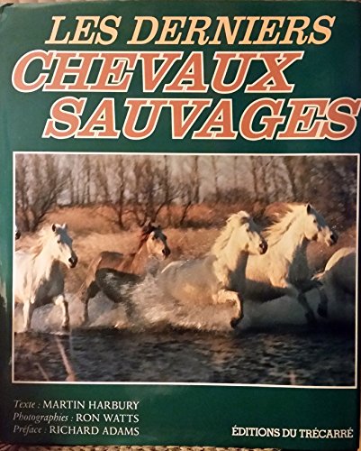 Beispielbild fr Les Derniers Chevaux sauvages zum Verkauf von medimops