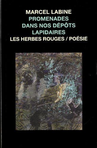 9782894193518: Promenades dans nos depots lapidaire