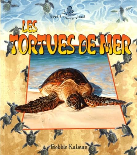 Beispielbild fr Tortues de Mer zum Verkauf von Better World Books