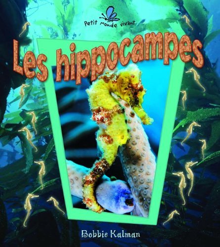 9782895792864: Les Hippocampes (Petit Monde Vivant)