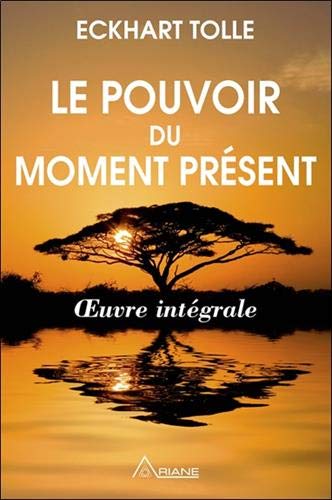 9782896263028: Le pouvoir du moment prsent: Guide d'veil spirituel - Oeuvre intgrale