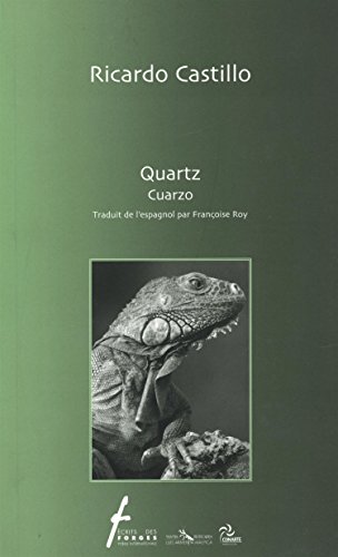 Quartz (9782896450930) by Ricardo Castillo