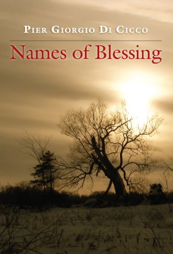 Imagen de archivo de Names of Blessing a la venta por ThriftBooks-Dallas