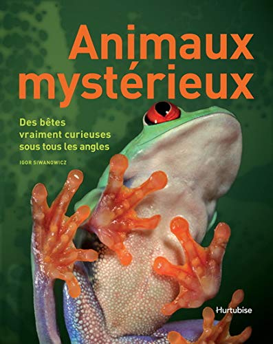 Beispielbild fr Animaux mystrieux zum Verkauf von medimops