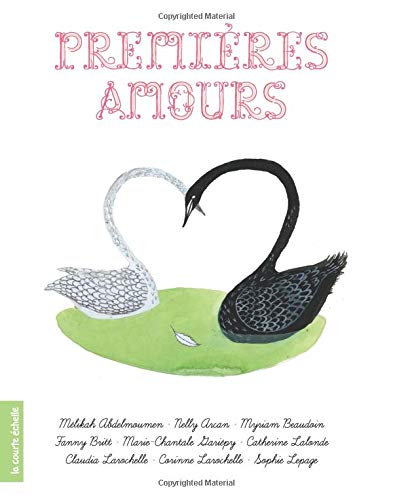 Beispielbild fr Premires amours : des histoires de filles zum Verkauf von Les mots en page