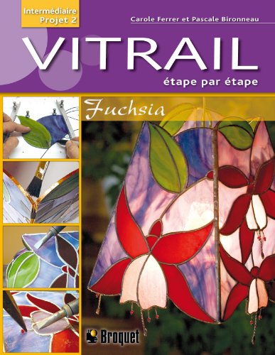 9782896540723: Vitrail tape par tape: Fuschia, intermdiare projet 2