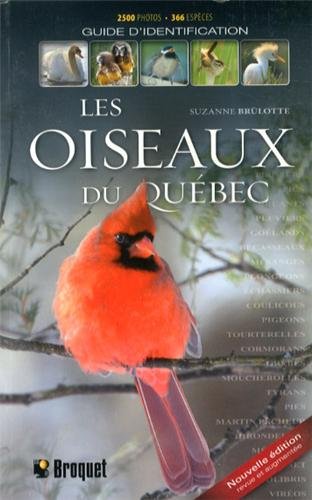 Stock image for Les oiseaux du Qubec: Guide d'identification for sale by LeLivreVert