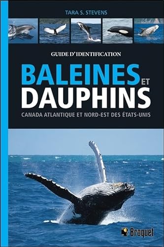 Stock image for Baleines et dauphins - Canada Atlantique et nord-est des Etats-Unis for sale by Ammareal