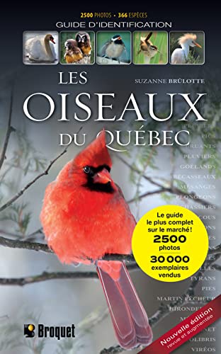 Stock image for LES OISEAUX DU QUEBEC. GUIDE D'IDENTIFICATION for sale by GF Books, Inc.