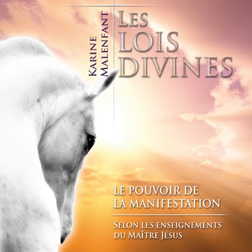 Beispielbild fr Les Lois Divines - Livre Audio 2 CD zum Verkauf von medimops